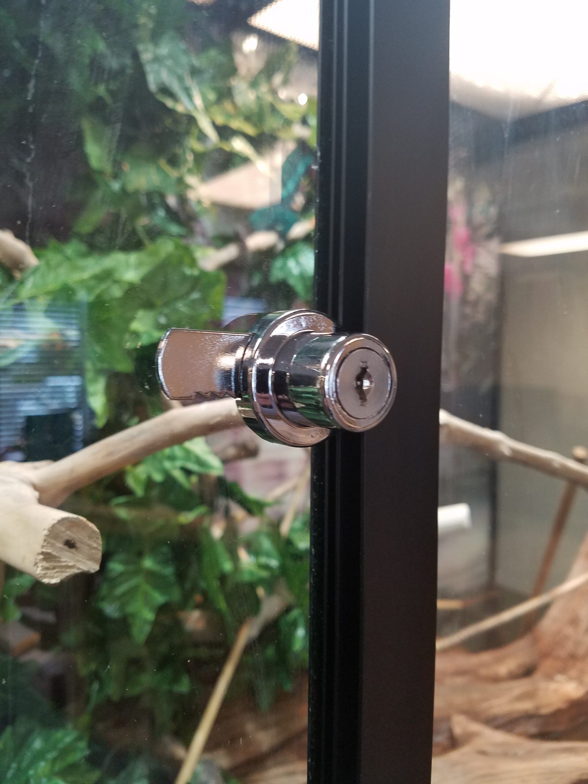 Small Cage Door Lock - Image 2
