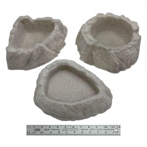 Vision Assorted Large Reptile Bowl