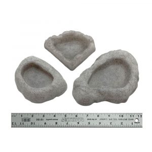 Vision Assorted Small Reptile Bowl