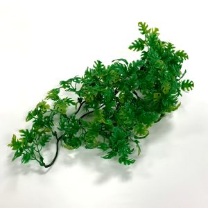 Vision Products Assorted Plant