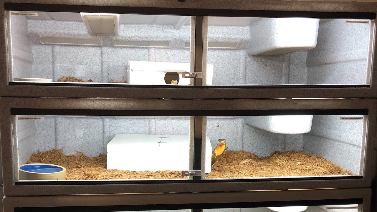 Large Vision Cage Lighting and Heating! - Will Nace
