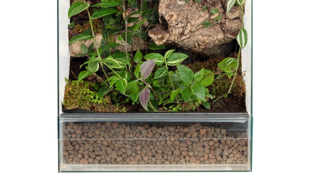 glass reptile enclosure