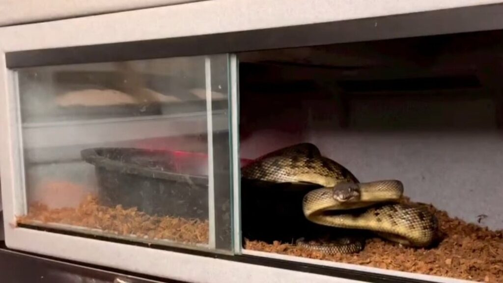 pvc reptile enclosure
