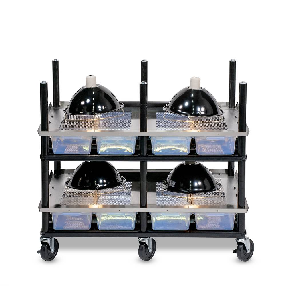 Vision Slotted Stainless Steel Reptile Versa-Rack - High Profile Lighting - 2 Levels V18 Tubs