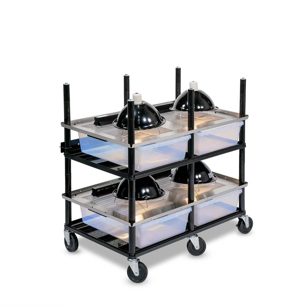 Vision Slotted Stainless Steel Reptile Versa-Rack - High Profile Lighting - 2 Levels
