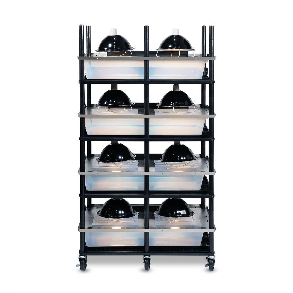 Vision Slotted Stainless Steel Reptile Versa-Rack - High Profile Lighting - 4 Levels V70 Tubs